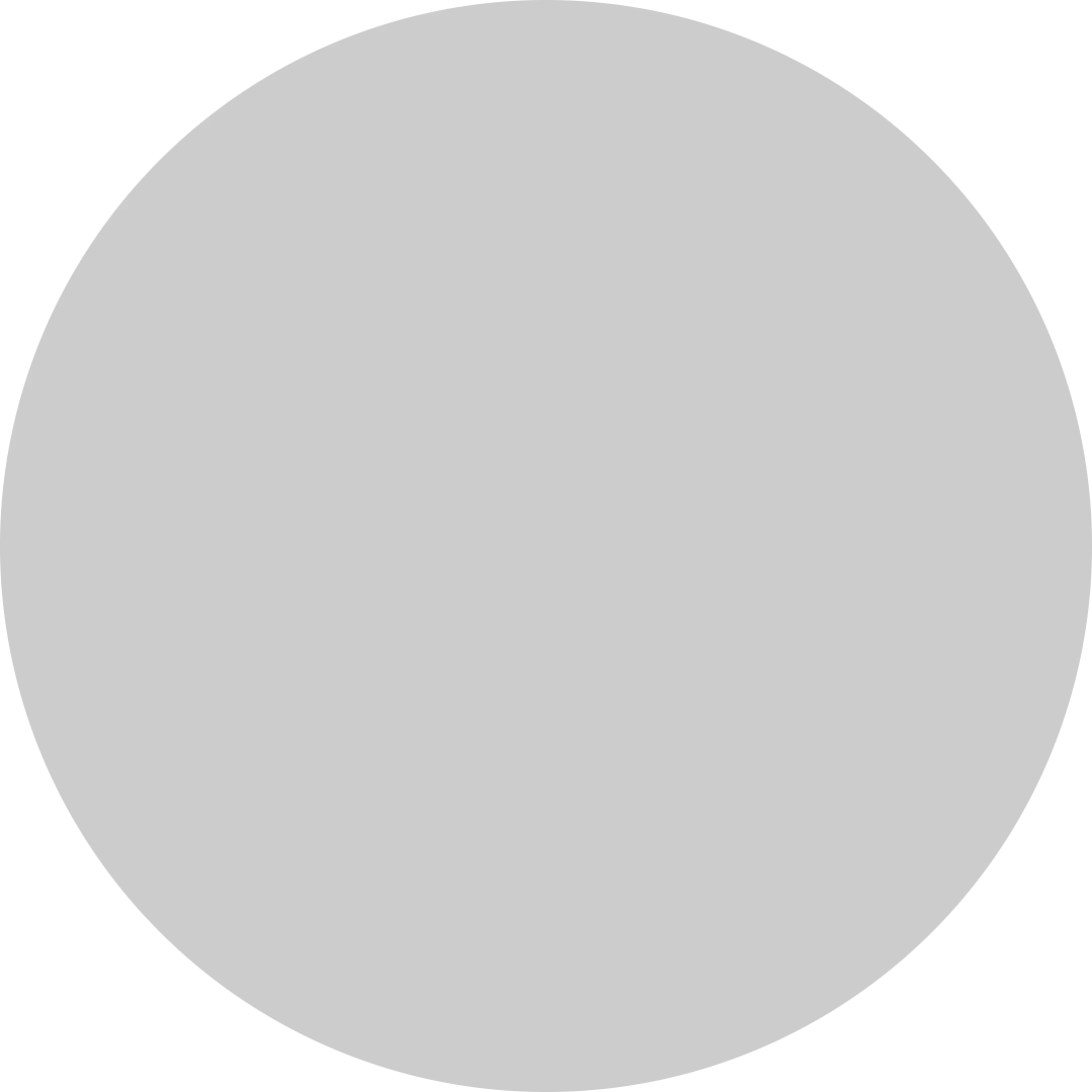 A plain silver medal, the prize for second place