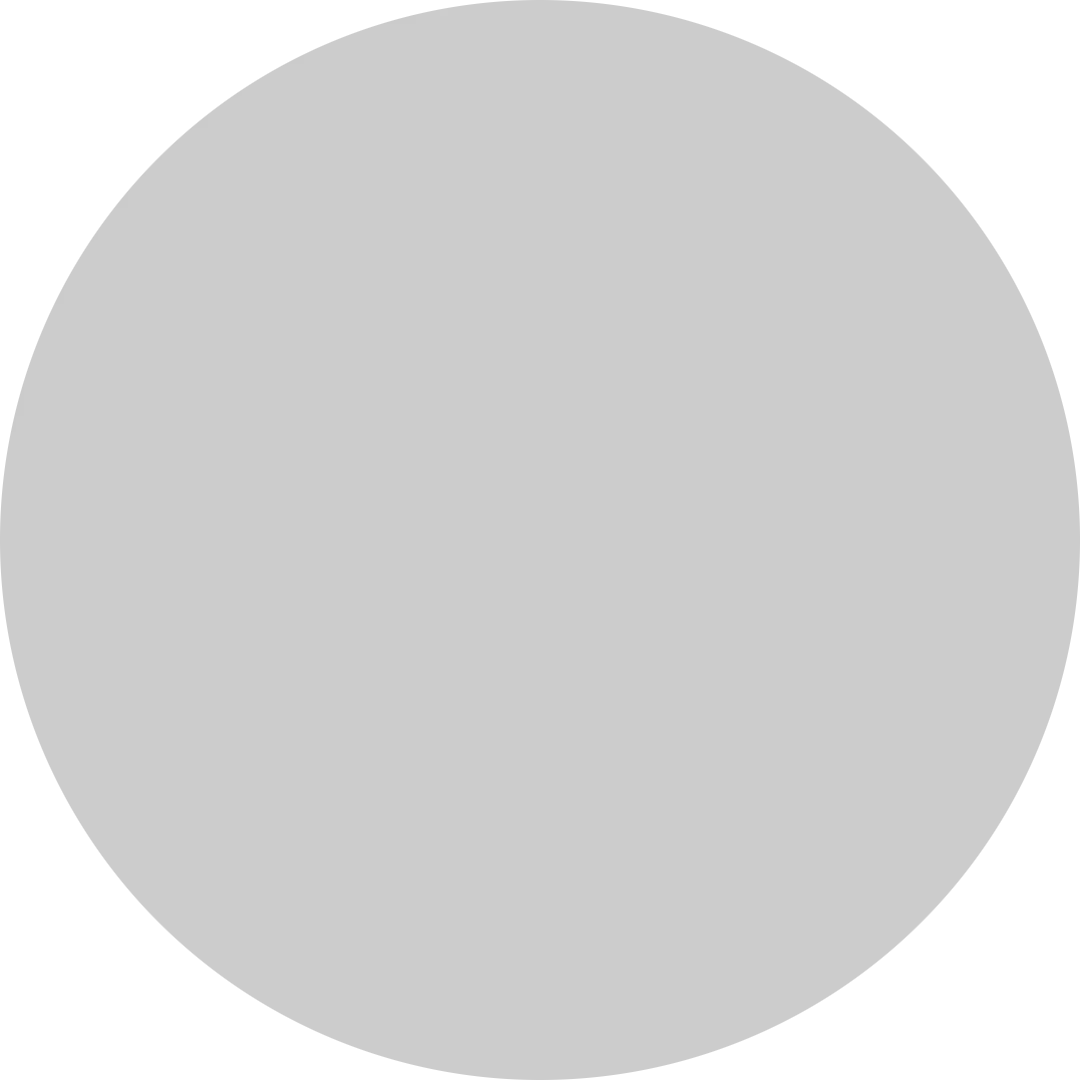 A plain silver medal, the prize for second place